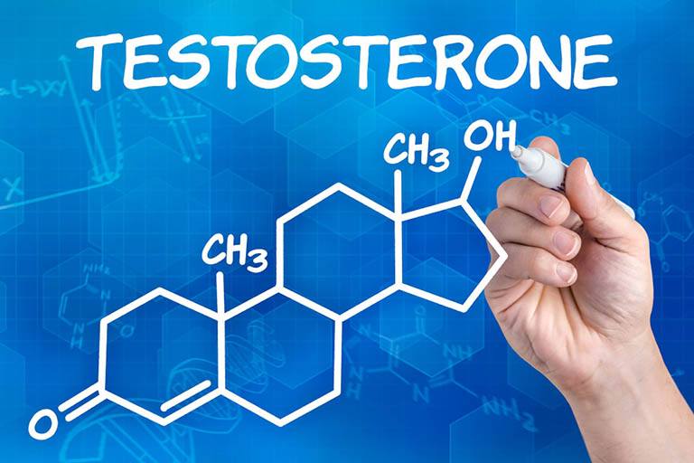 Testosterone được sinh sản ra ở đâu