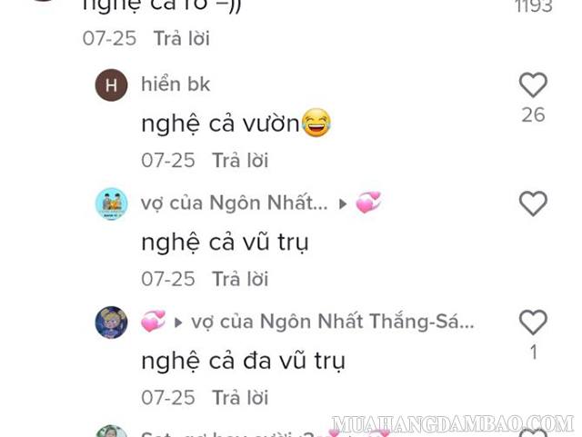 “Nghệ cả củ” nghĩa là gì trên MXH?